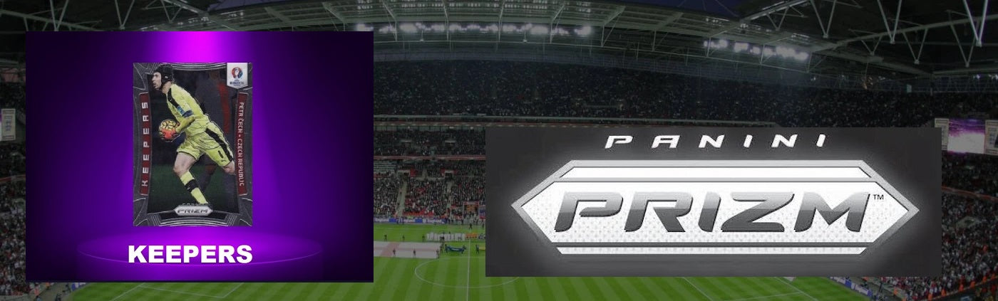 PANINI PRIZM EURO 2016 FRANCE KEEPERS