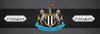 NEWCASTLE UNITED - PANINI PRIZM PREMIER LEAGUE