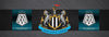 NEWCASTLE MOSAIC
