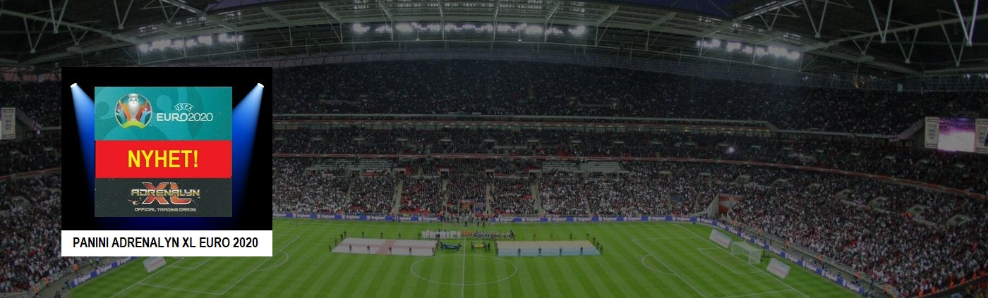 PANINI EURO 2020