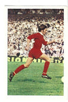 156. STEVE HEIGHWAY - LIVERPOOL