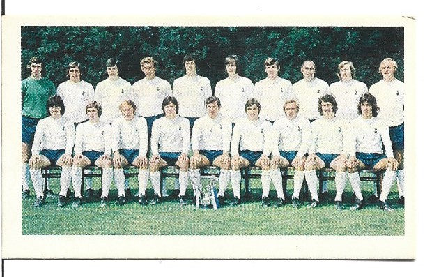 019. TOTTENHAM HOTSPUR - TEAM PHOTO - MIRRORCARD