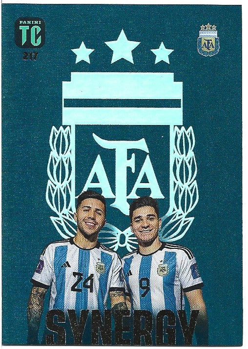 217. FERNANDEZ/ALVAREZ - ARGENTINA - SYNERGY