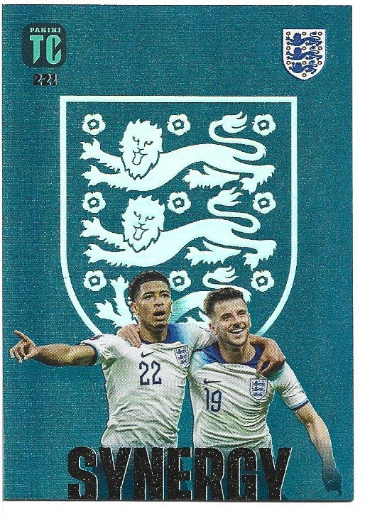 221. BELLINGHAM/MOUNT - ENGLAND - SYNERGY