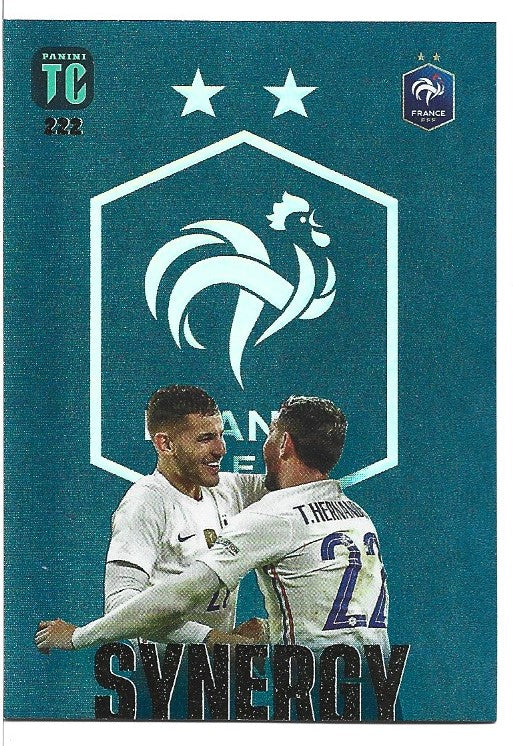 222. L.HERNANDEZ/T.HERNANDEZ - FRANCE - SYNERGY