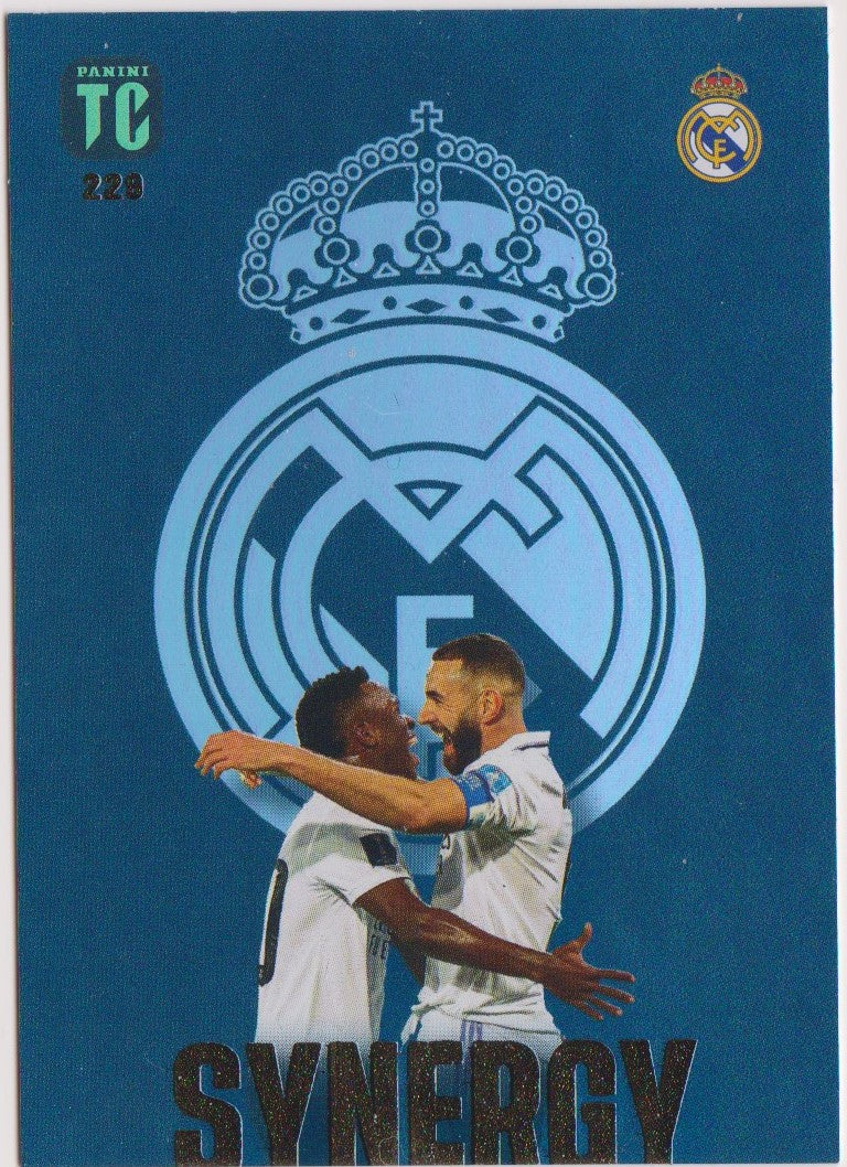 229. REAL MADRID - VINICIUS JR/BENZEMA - SYNERGY