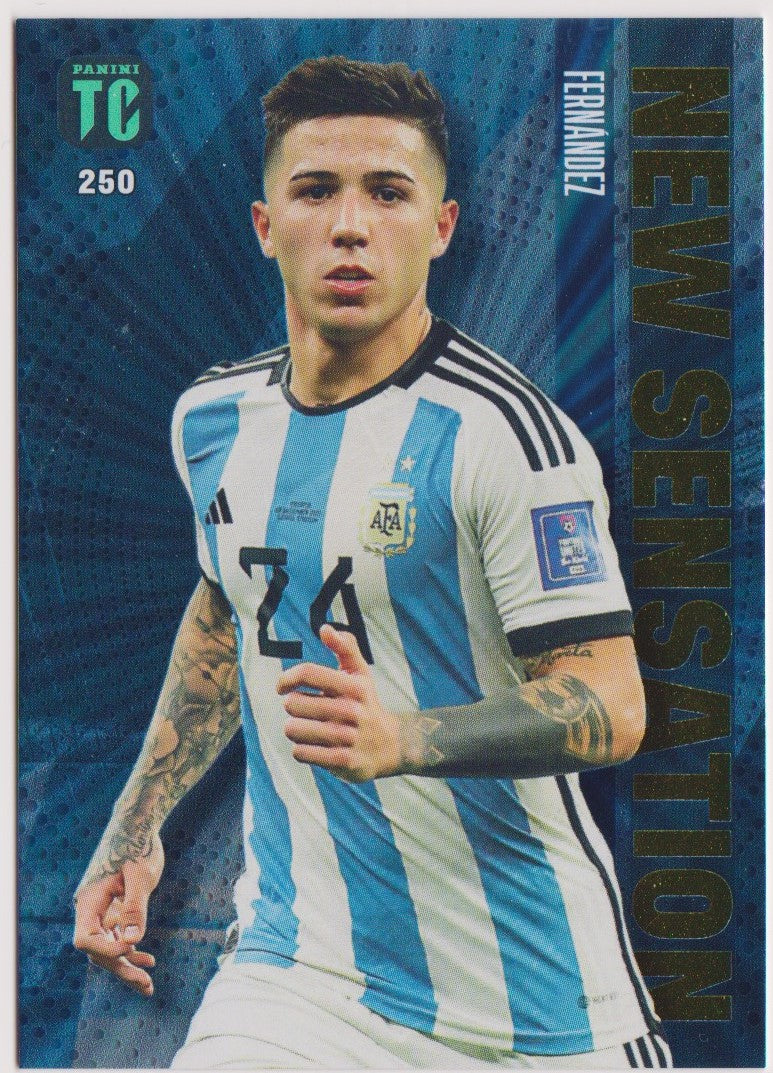 250. ENZO FERNANDEZ - ARGENTINA - NEW SENSATION