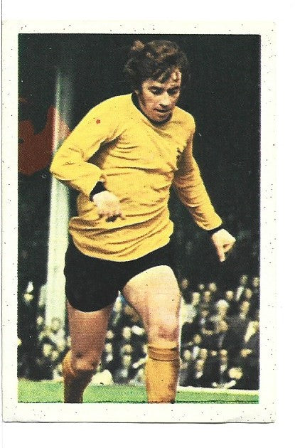320. DANNY HEGAN - WOLVERHAMPTON WANDERERS