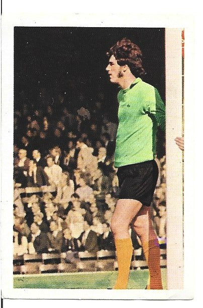 325. PHIL PARKES - WOLVERHAMPTON WAANDERERS
