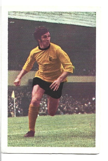 329. GERRY TAYLOR - WOLVERHAMPTON WANDERERS