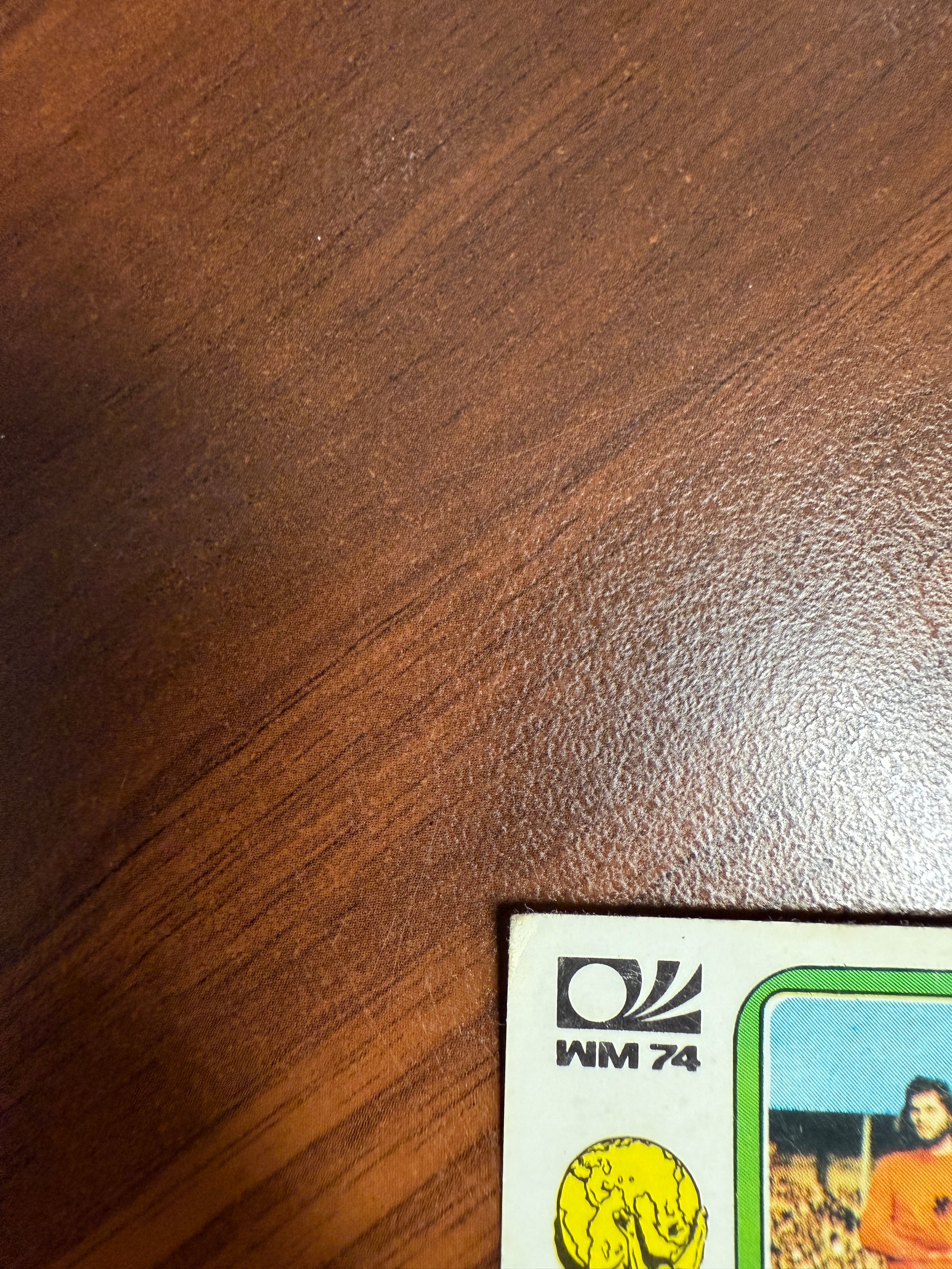 233. NEDERLAND - TEAM PHOTO