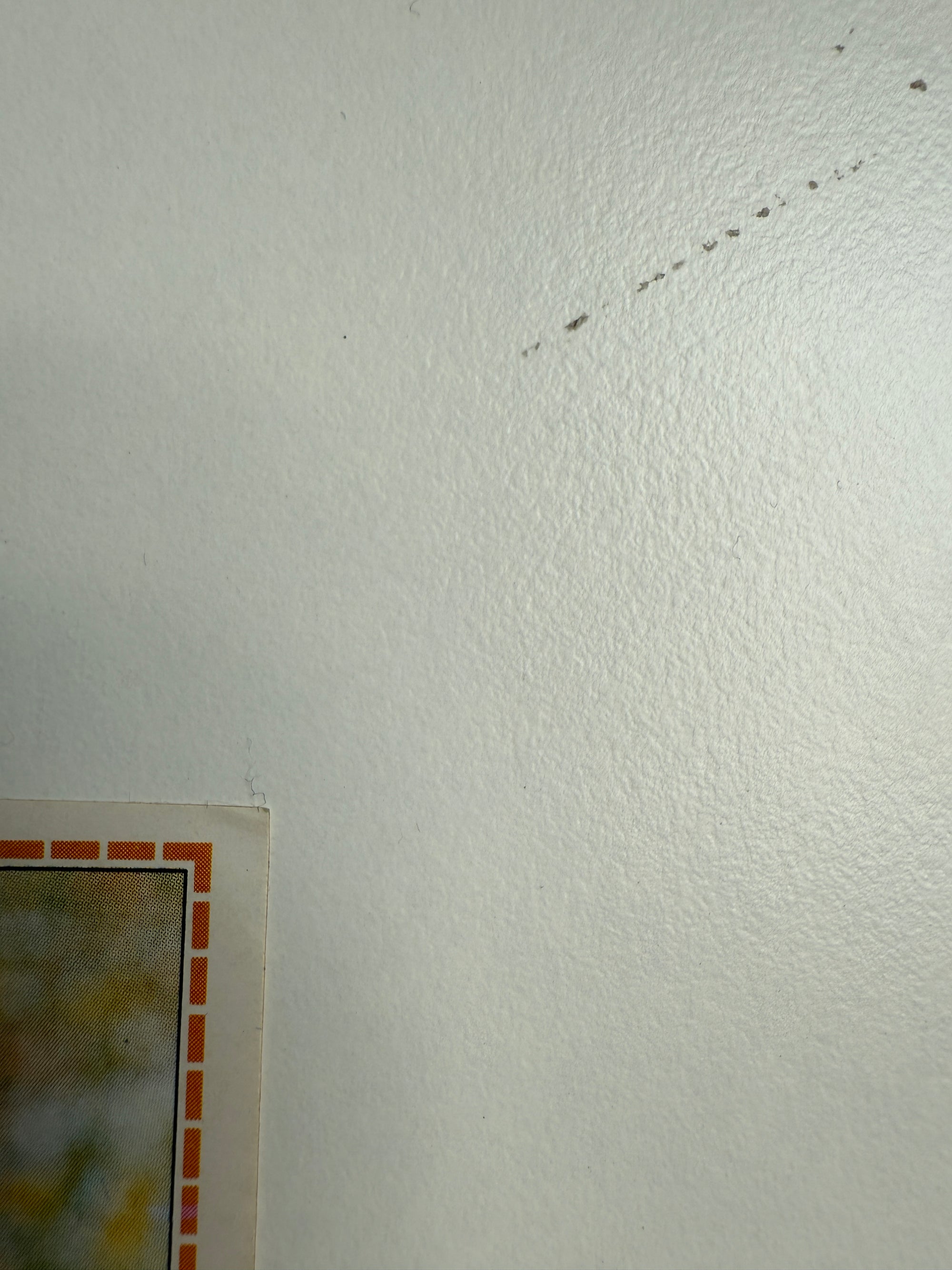 246. KENNY DALGLISH - SCOTLAND