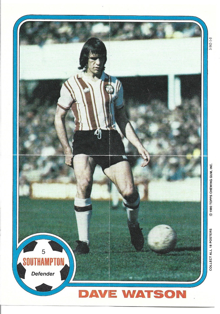 005. DAVE WATSON - SOUTHAMPTON