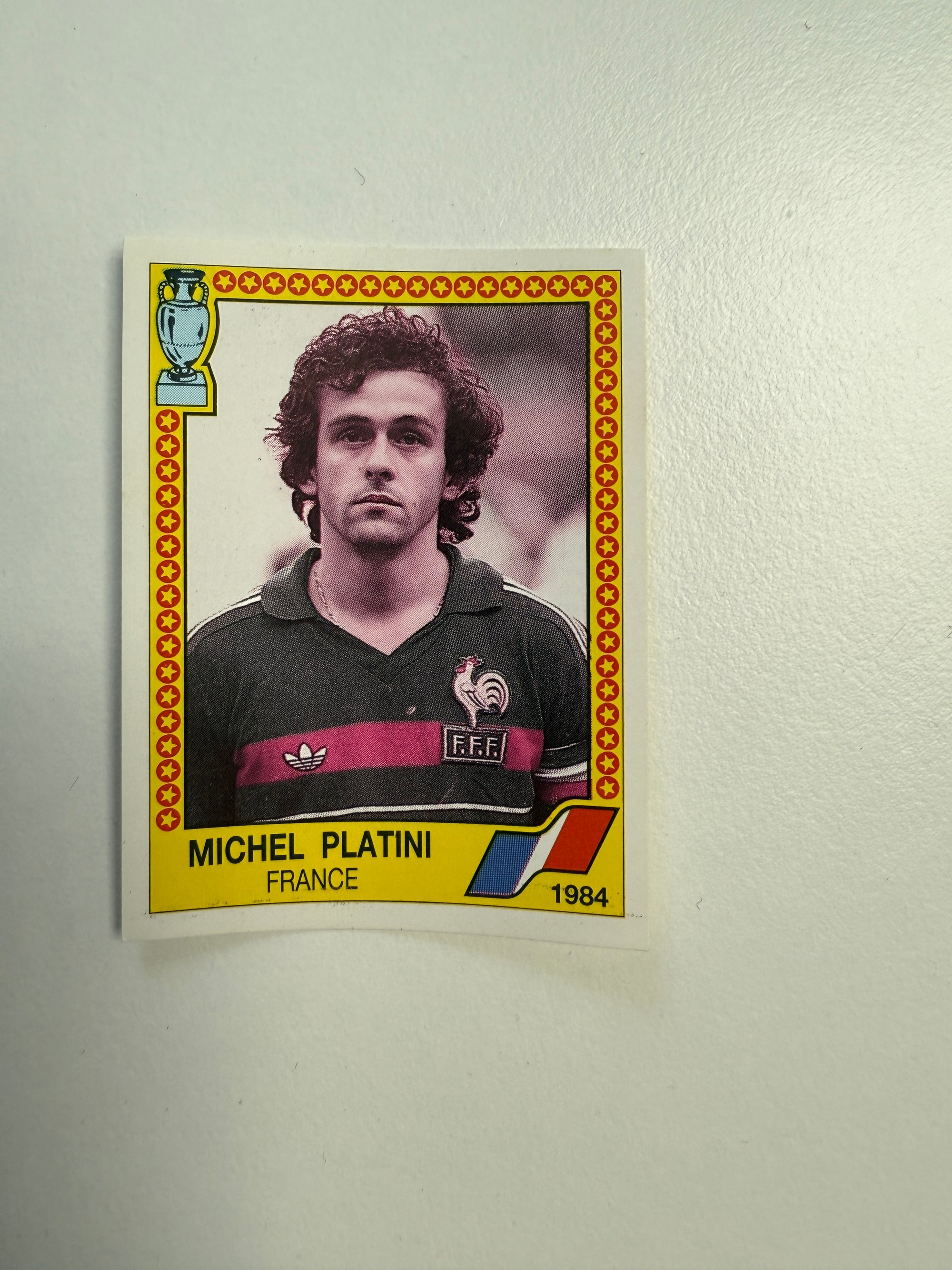 018. MICHEL PLATINI - FRANCE