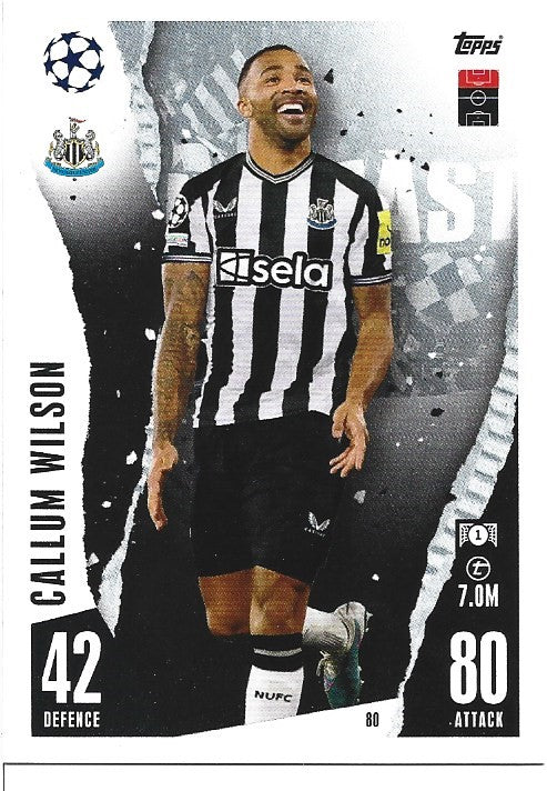 080.  Callum Wilson  - Newcastle United
