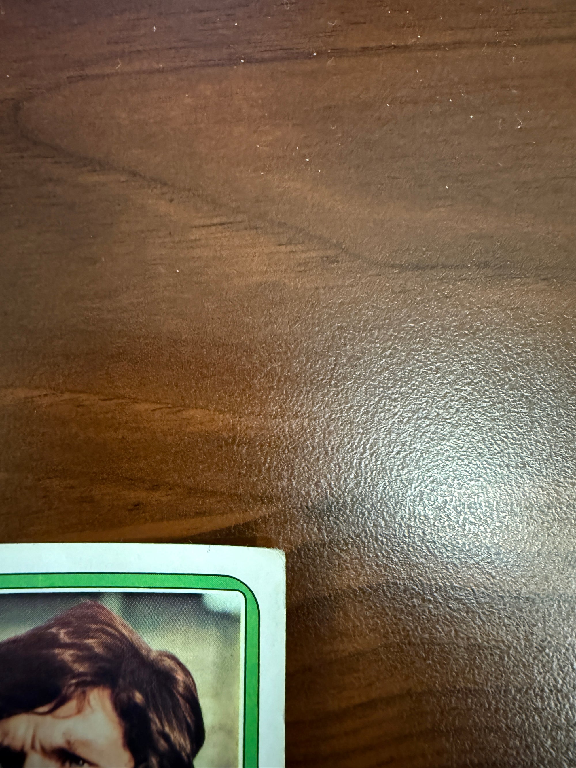 237. WIM SUURBIER - NEDERLAND