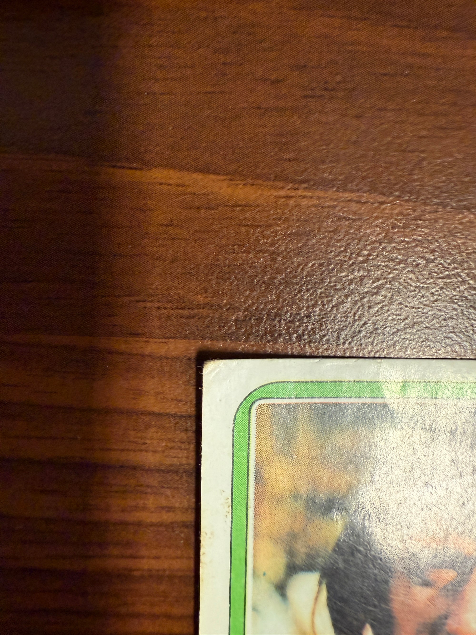 240. ROB RENSENBRINK - NEDERLAND