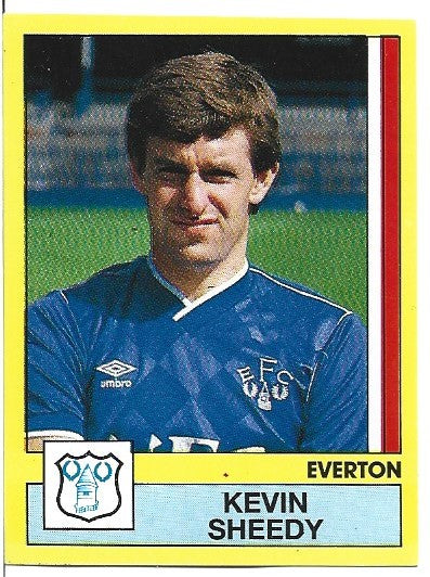 096. KEVIN SHEEDY - EVERTON