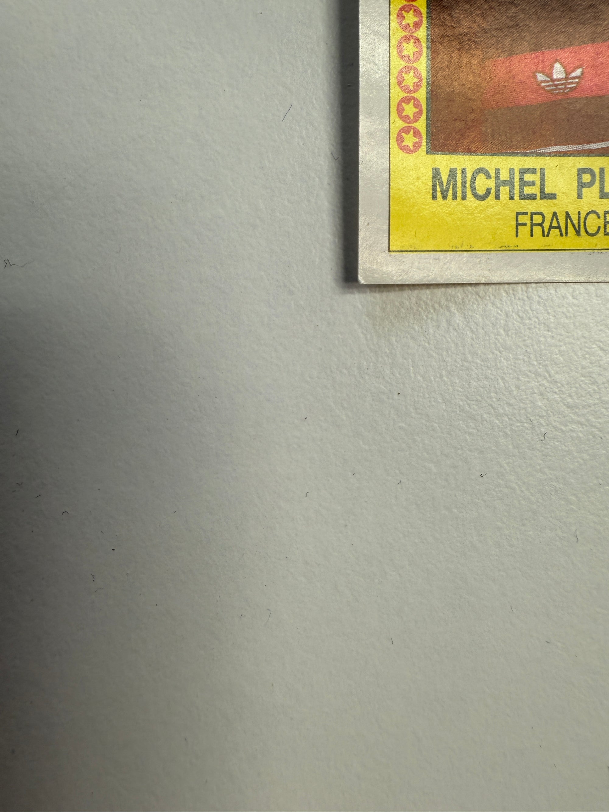 018. MICHEL PLATINI - FRANCE