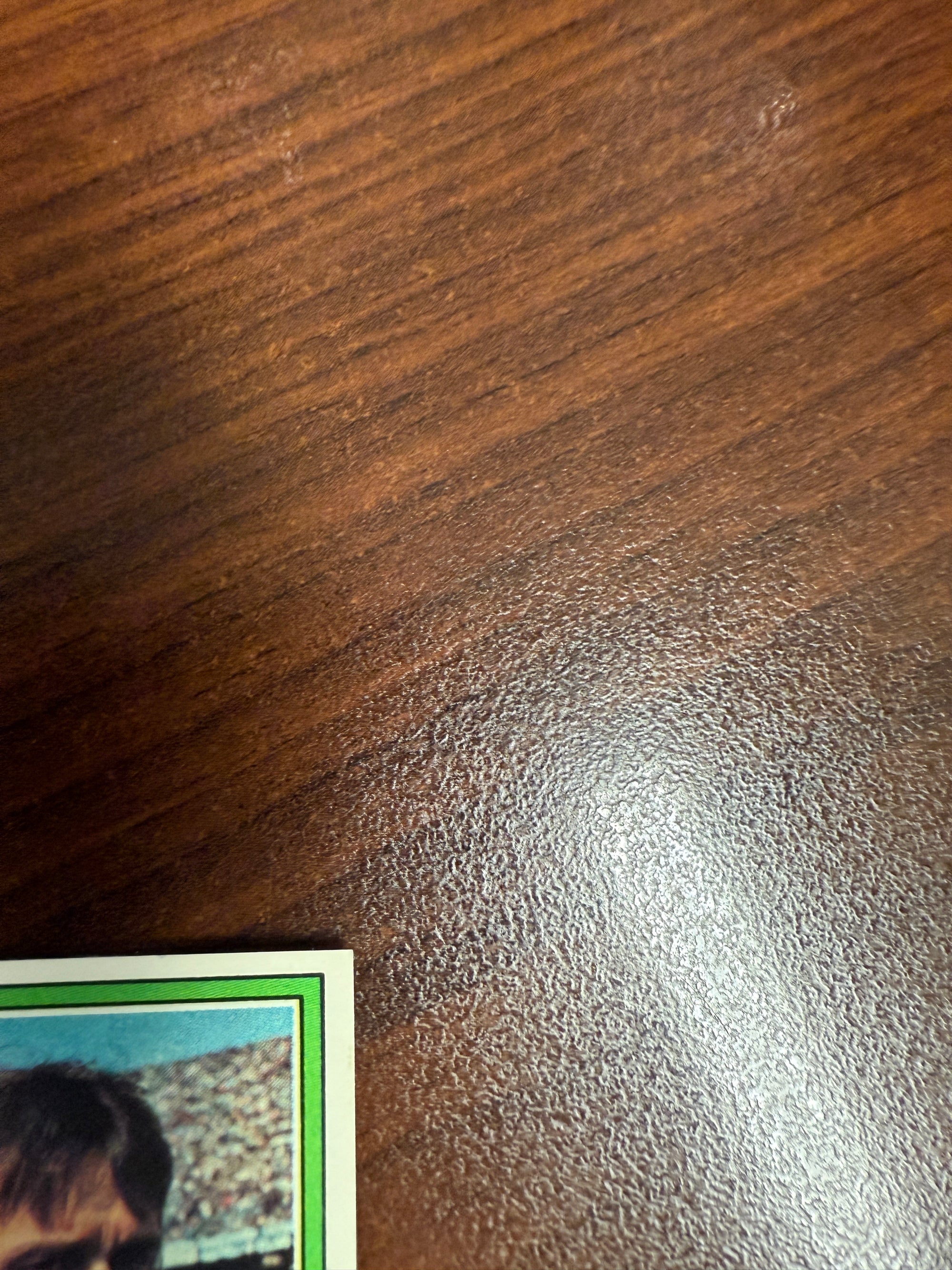 182 - A.B. JOHAN CRUYFF - ROB RENSENBRINK - NEDERLAND