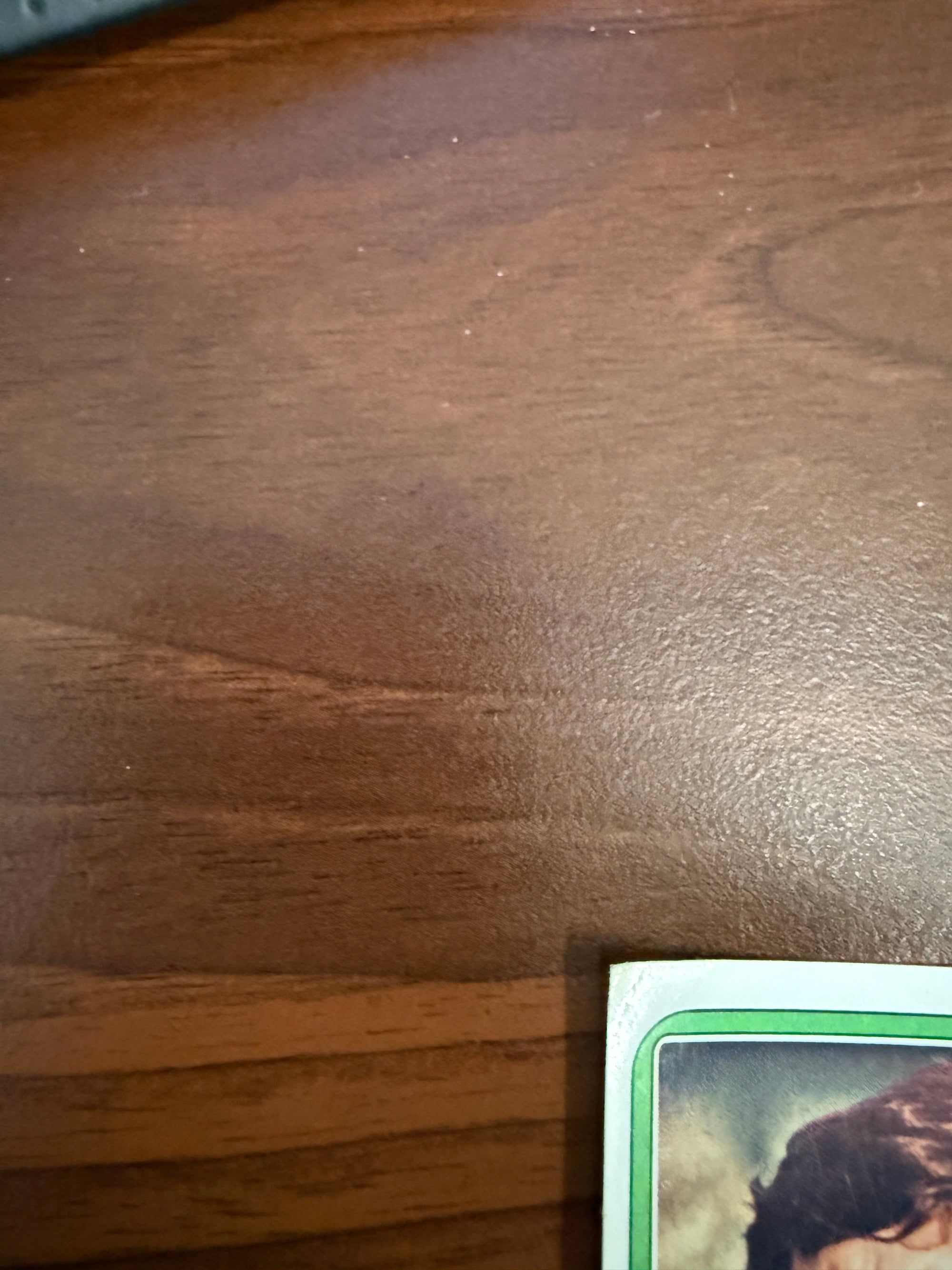 237. WIM SUURBIER - NEDERLAND