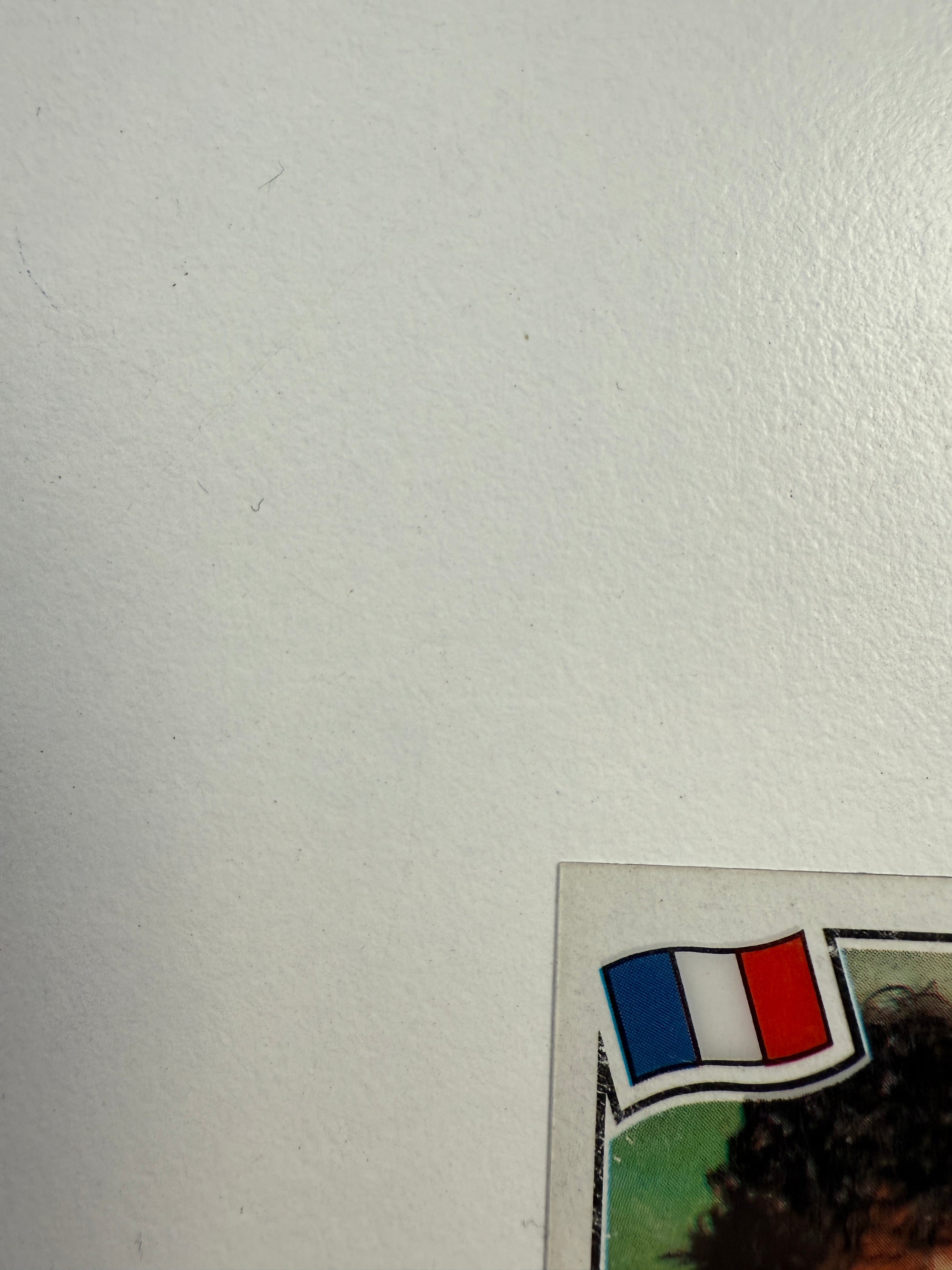 FRANCE - MICHEL PLATINI