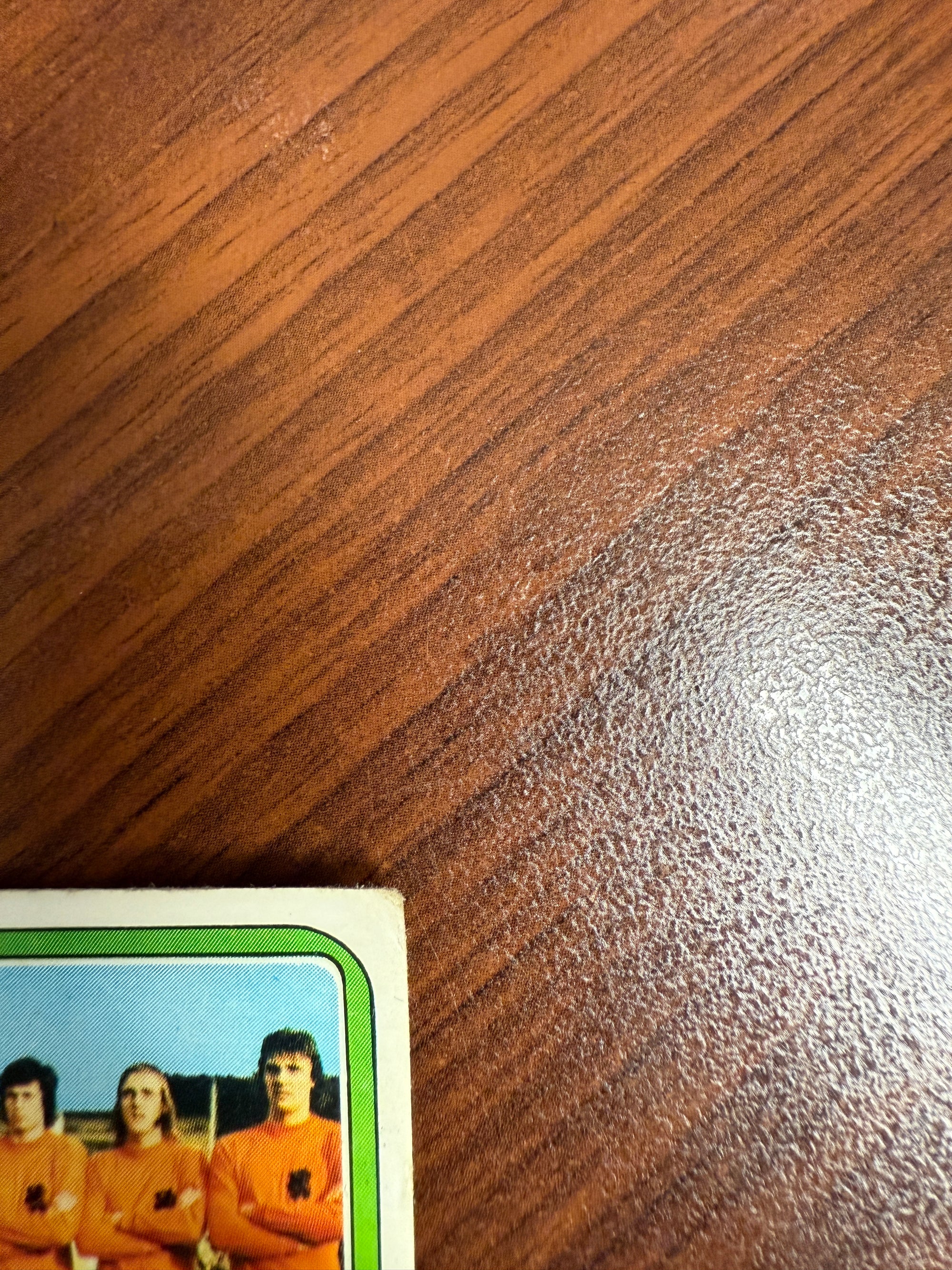 233. NEDERLAND - TEAM PHOTO