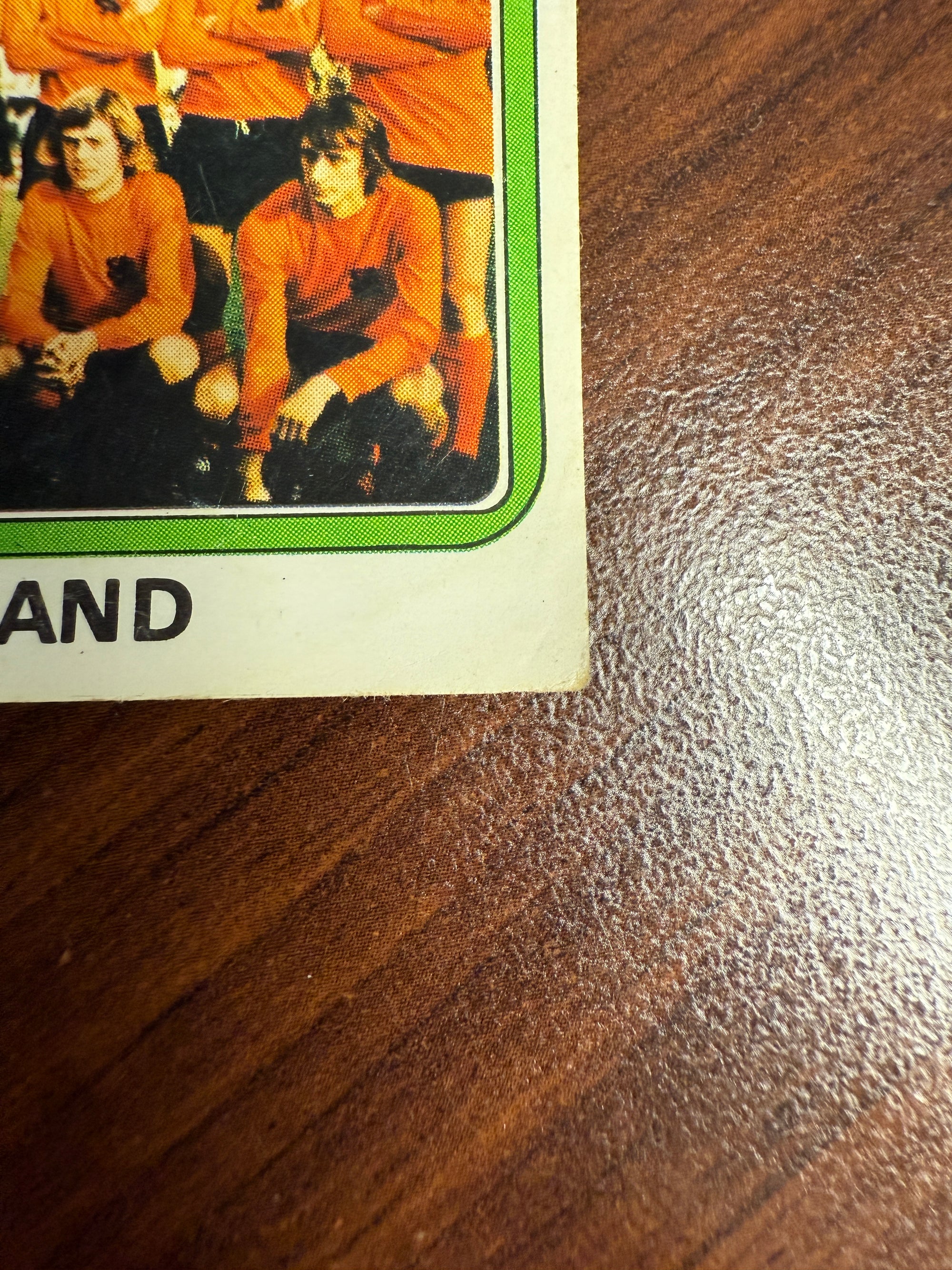 233. NEDERLAND - TEAM PHOTO