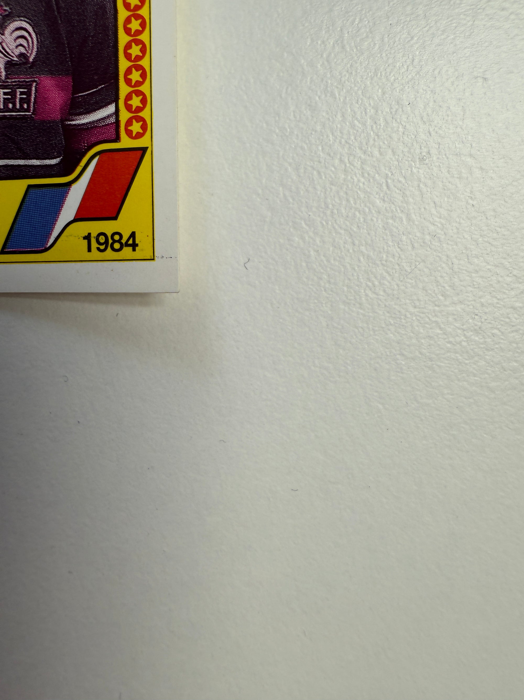 018. MICHEL PLATINI - FRANCE