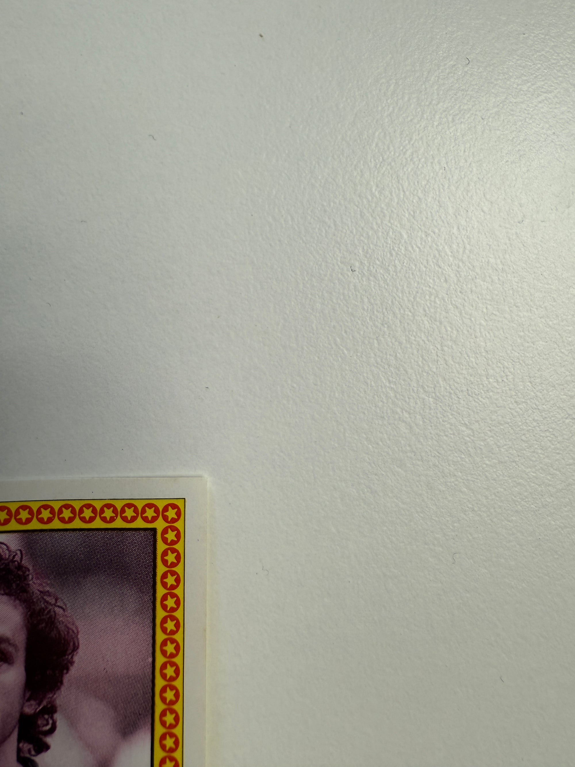 018. MICHEL PLATINI - FRANCE