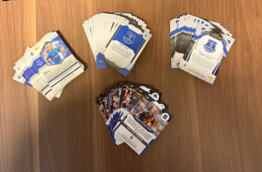 EVERTON - "HIGH-END" LOT - MOSAIC & PRIZM - 4 ÅRGANGER