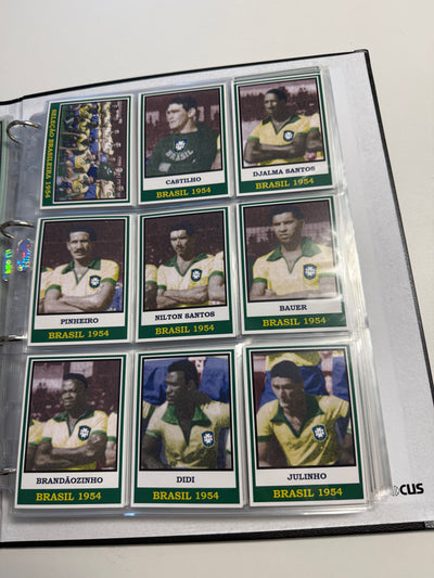 BRASIL - NAS COPAS - KOMPLETT SERIE - 360 KORT SOM TAR FOR SEG BRASIL 1930 - 2014