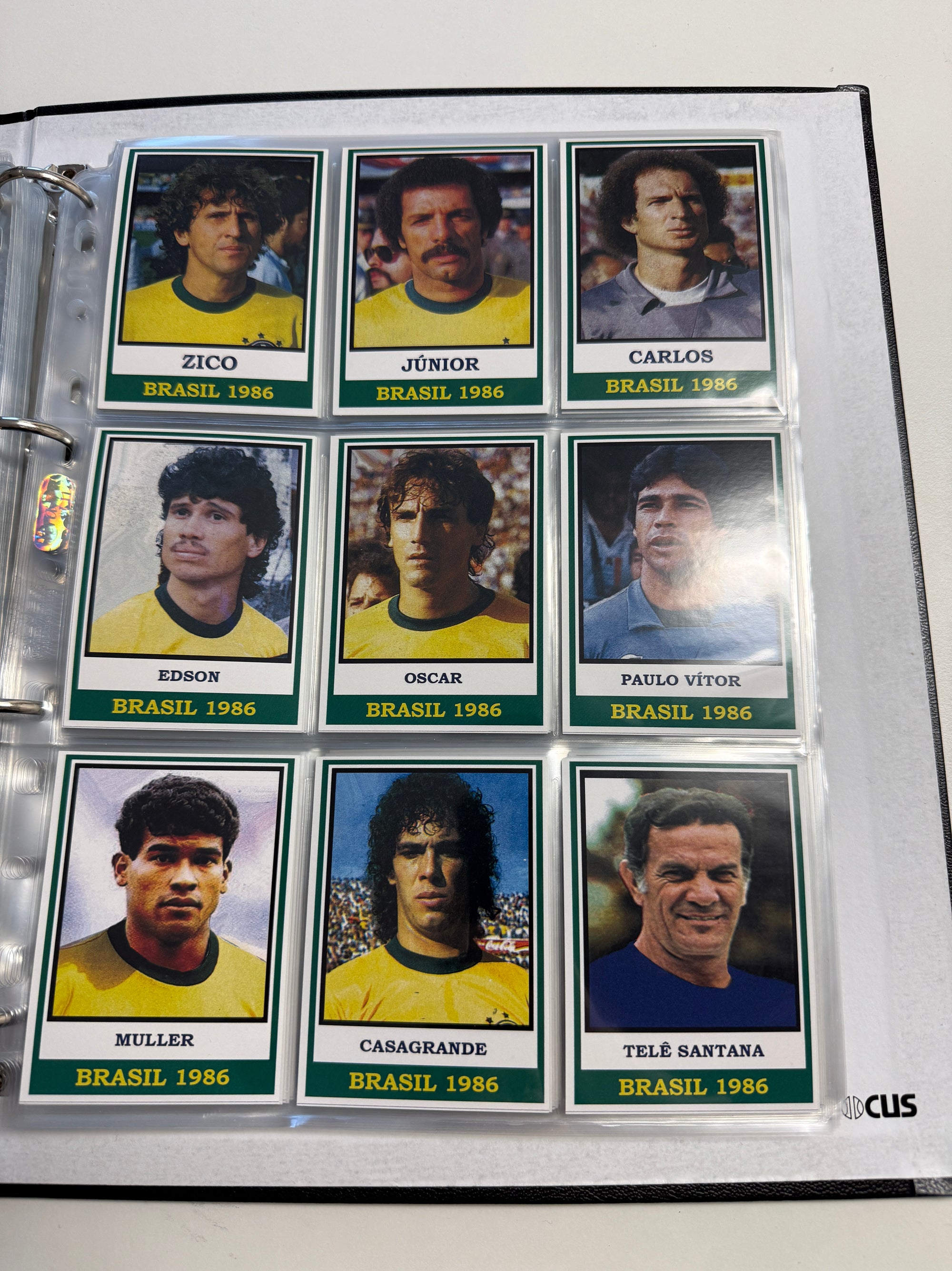 BRASIL - NAS COPAS - KOMPLETT SERIE - 360 KORT SOM TAR FOR SEG BRASIL 1930 - 2014