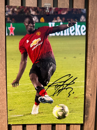 MANCHESTER UNITED - 6 SIGNERTE BILDER LOT MED EKTEHETSBEVIS/COA