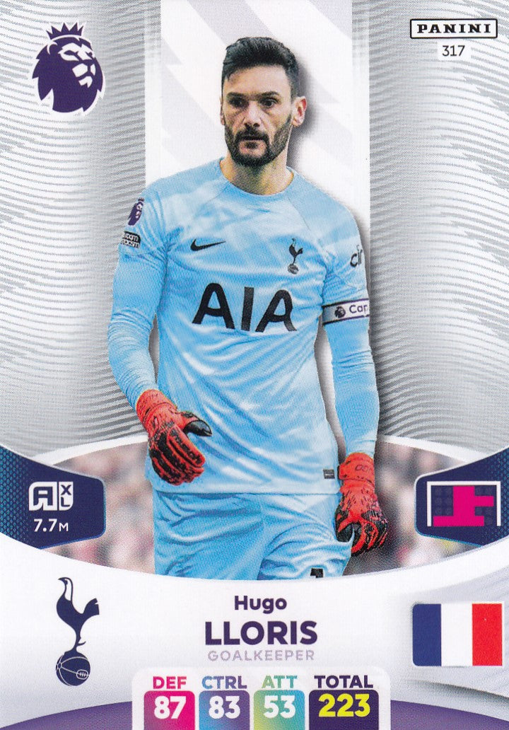 317. HUGO LLORIS - TOTTENHAM