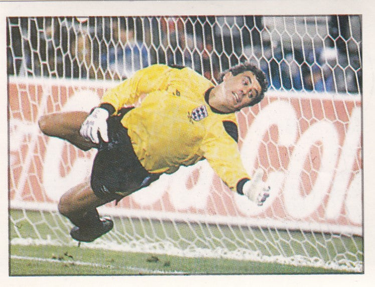 539. PETER SHILTON - ITALIA `90 POSTER