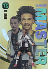 212. LEROY SANÈ - GERMANY - RAINBOW MASTER