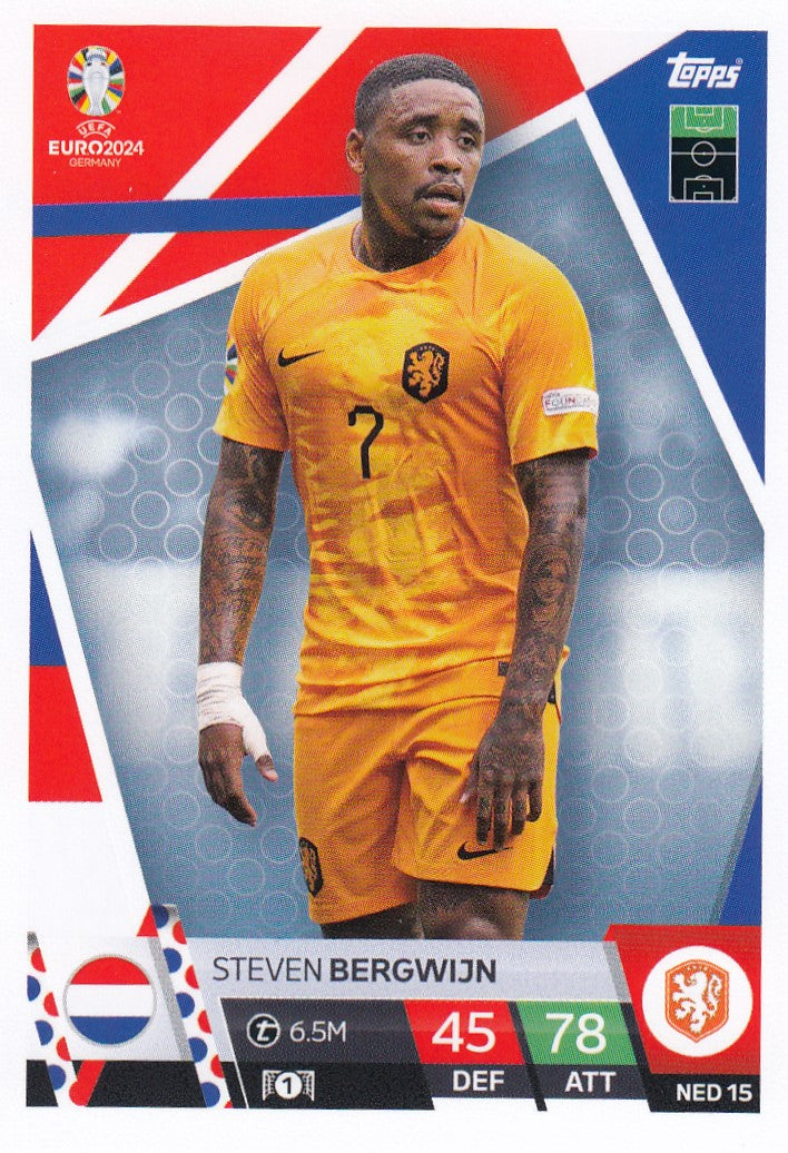 NED.15 - STEVEN BERGWIJN - NETHERLANDS