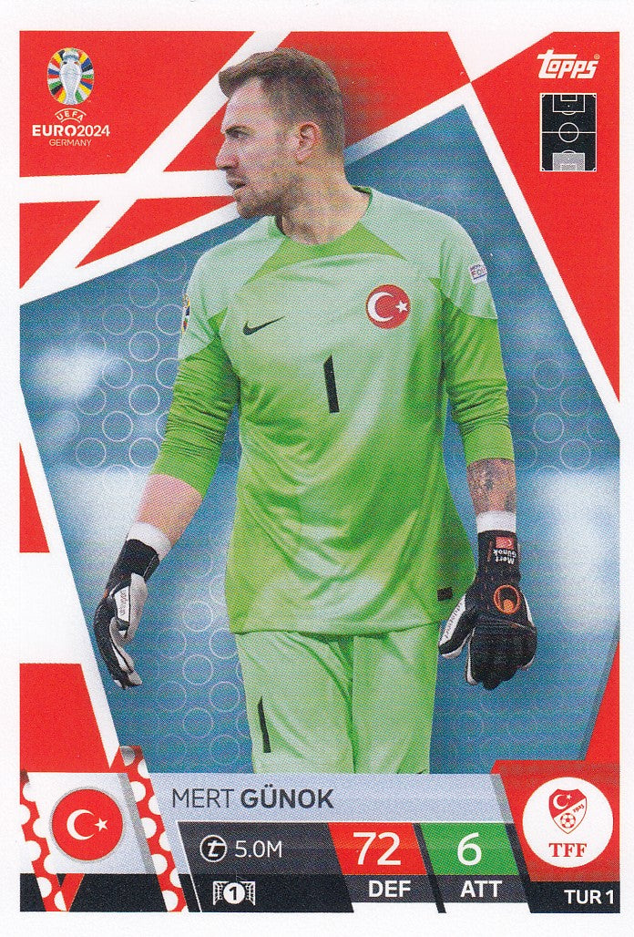 TUR.01 - MERT GUNOK - TURKEY