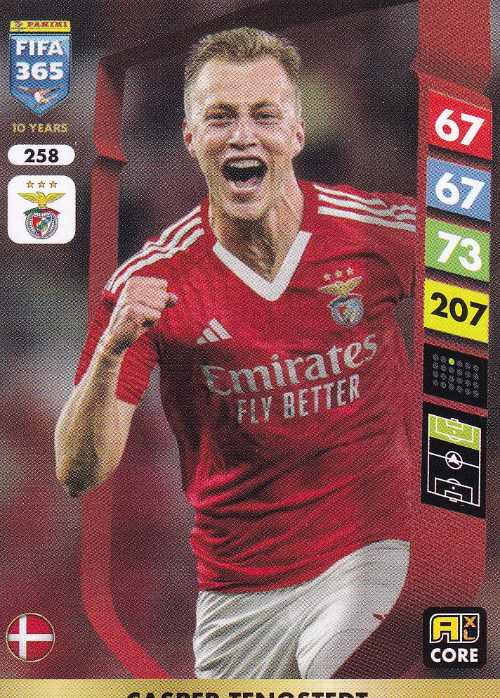 258. CASPER TENGSTEDT - BENFICA