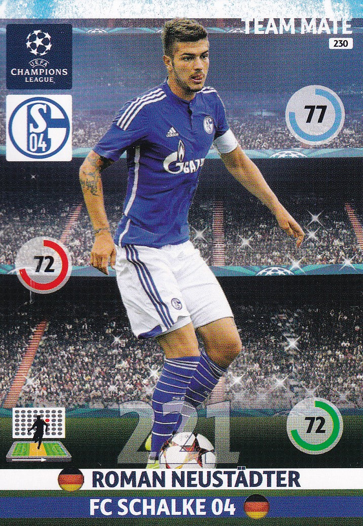 230. ROMAN NEUSTADTER - SCHALKE 04