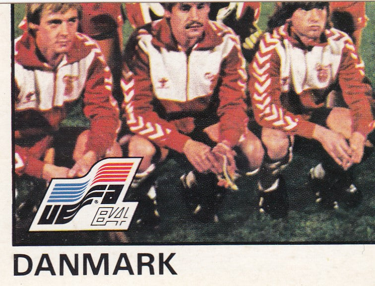 059. TEAM PHOTO 3/4 - DANMARK