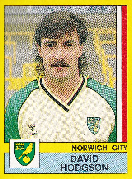 212. DAVID HODGSON - NORWICH CITY