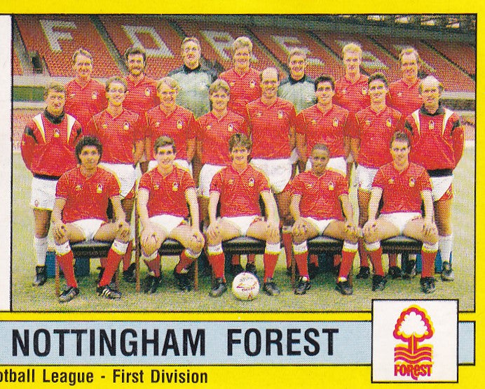 223. NOTTINGHAM FOREST - TEAM PHOTO