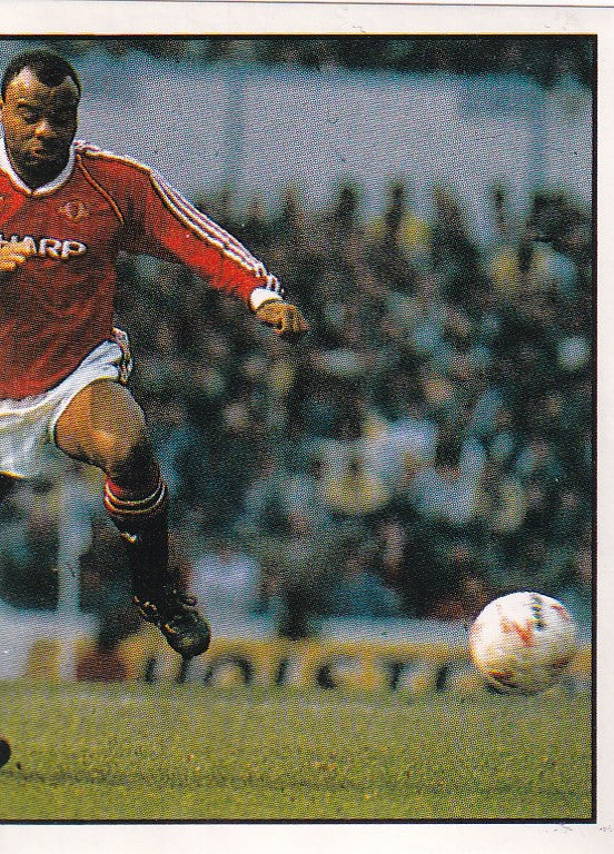 207. DID YOU KNOW? UNITED - CITY - SHARES GROUND