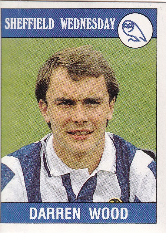 248. DARREN WOOD - SHEFFIELD WEDNESDAY