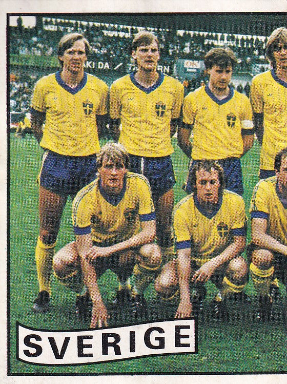 257. TEAM PHOTO 1/2 - SVERIGE