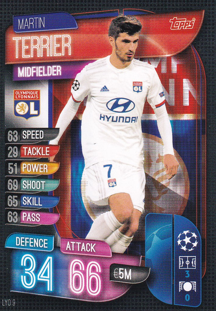 LYO-009. MARTIN TERRIER - LYON