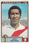 300. JULIO MELENDEZ - PERU