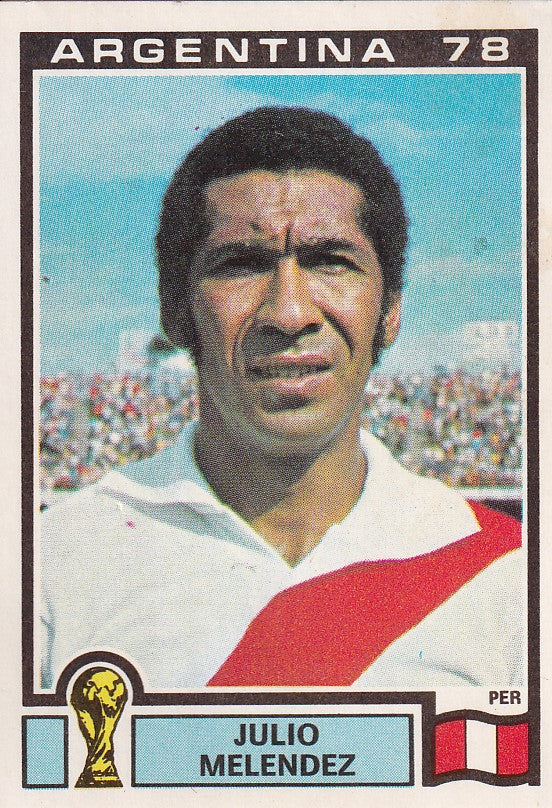 300. JULIO MELENDEZ - PERU
